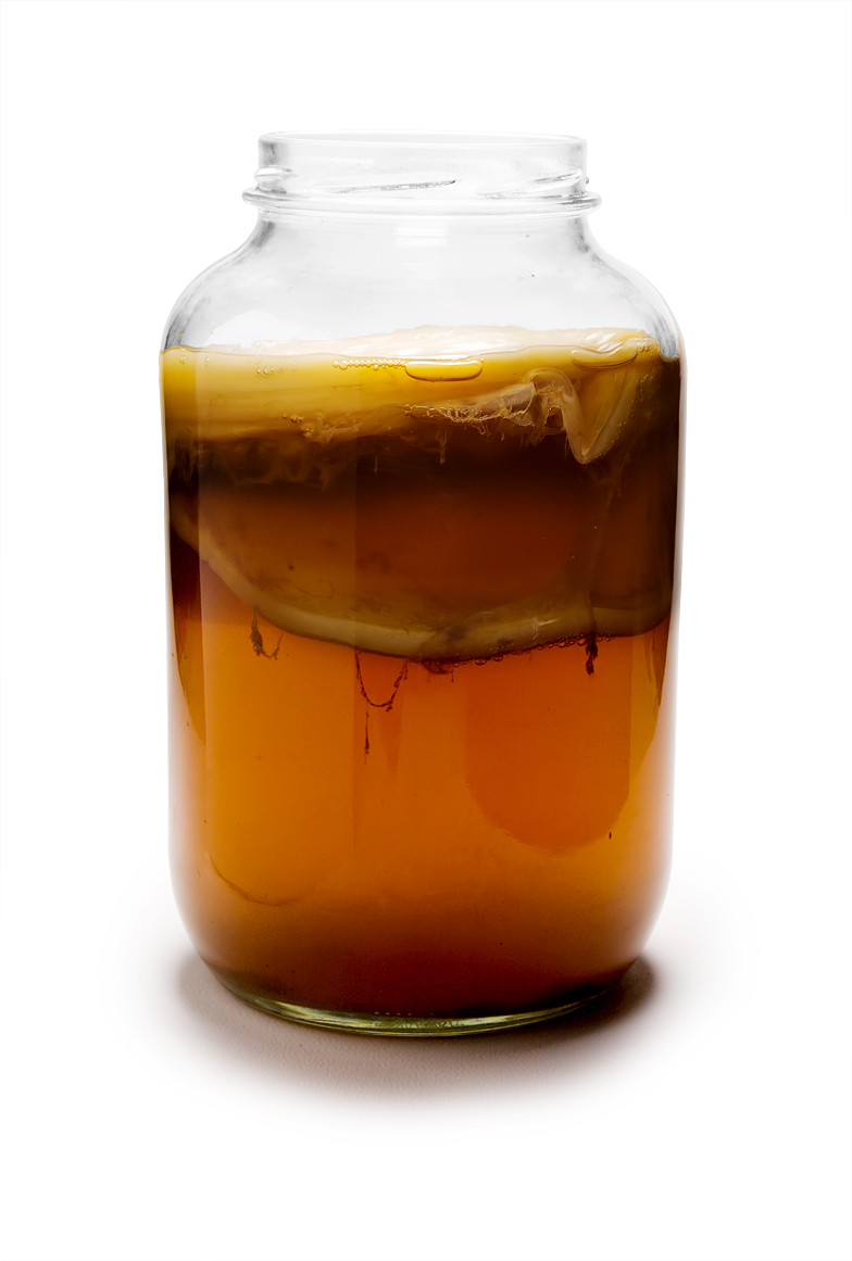 Kombucha mikrobiyomundaki mikrobiyal etkileşimlerin zamana bağlı çok katmanlı meta-omik analizi