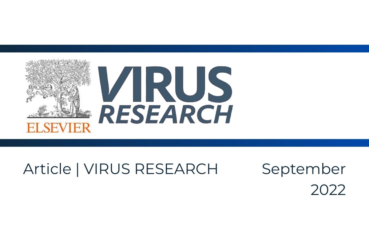 Comparison of S gene mutations in patients with occult and chronic hepatitis B virus infection