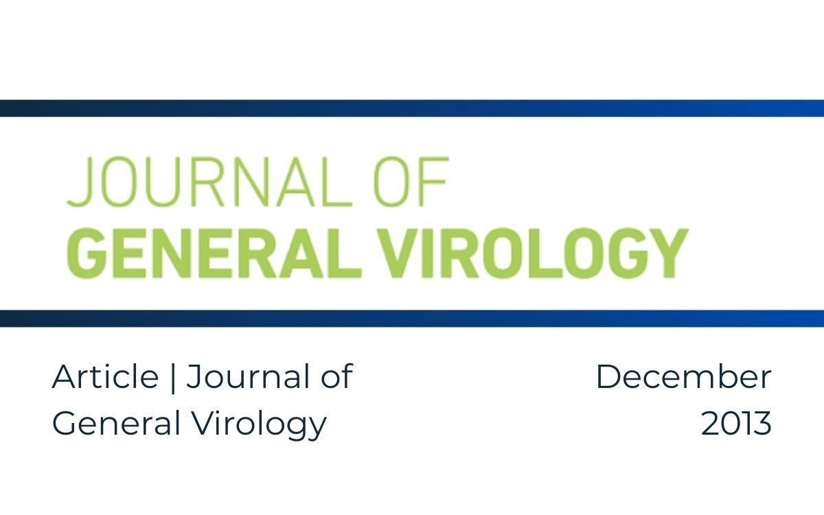 The role of INNO-LiPA HBV DR and ultra-deep pyrosequencing in detecting the resistance mutations to nucleoside/nucleotide analogues in viral samples isolated from chronic hepatitis B patients