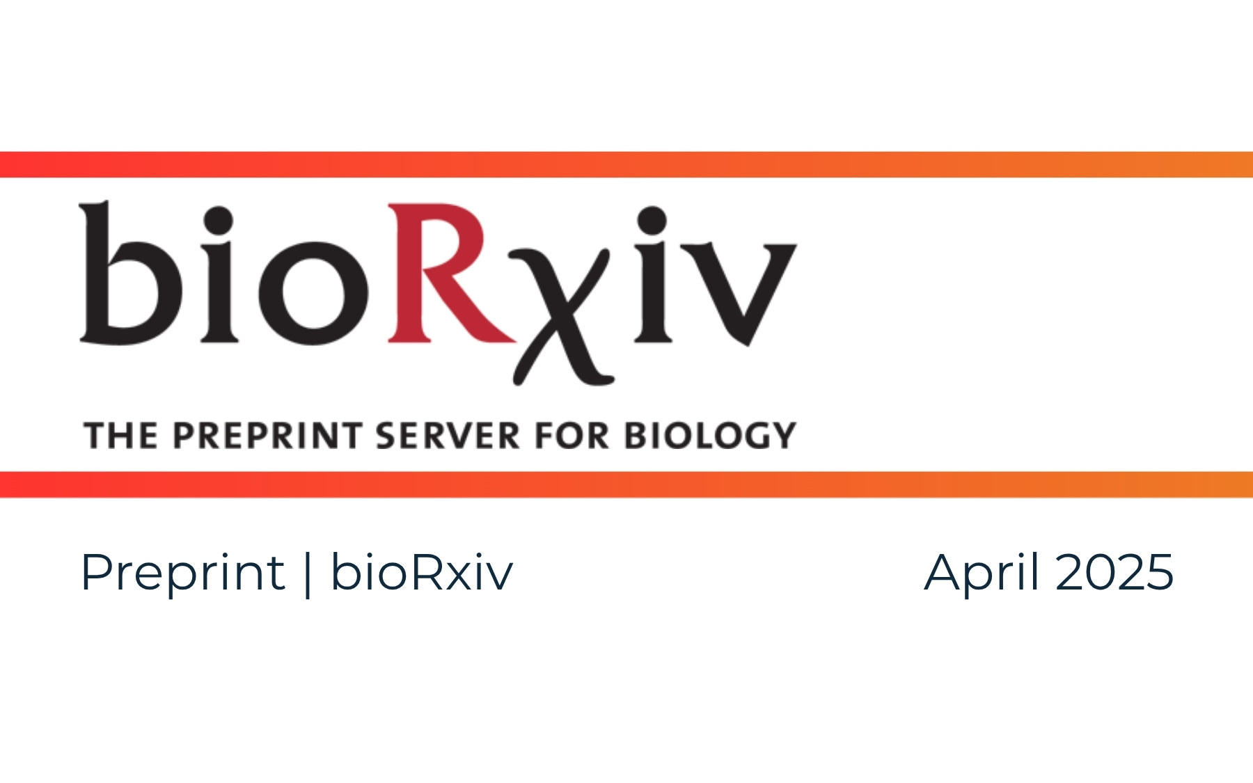 Gut microbiota alterations across REM sleep behavior disorder and Parkinson's disease: a machine learning-based meta-analysis